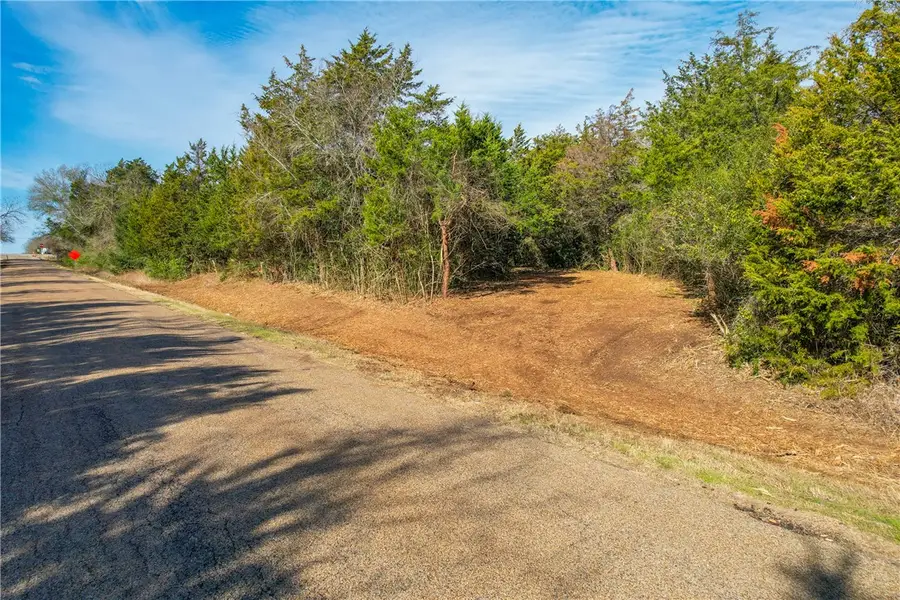 TBD Hwy 36 Highway, Caldwell, TX 77838 - Image #3