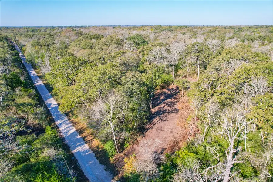 Tract 3 Jones Road, College Station, TX 77845 - Image #3