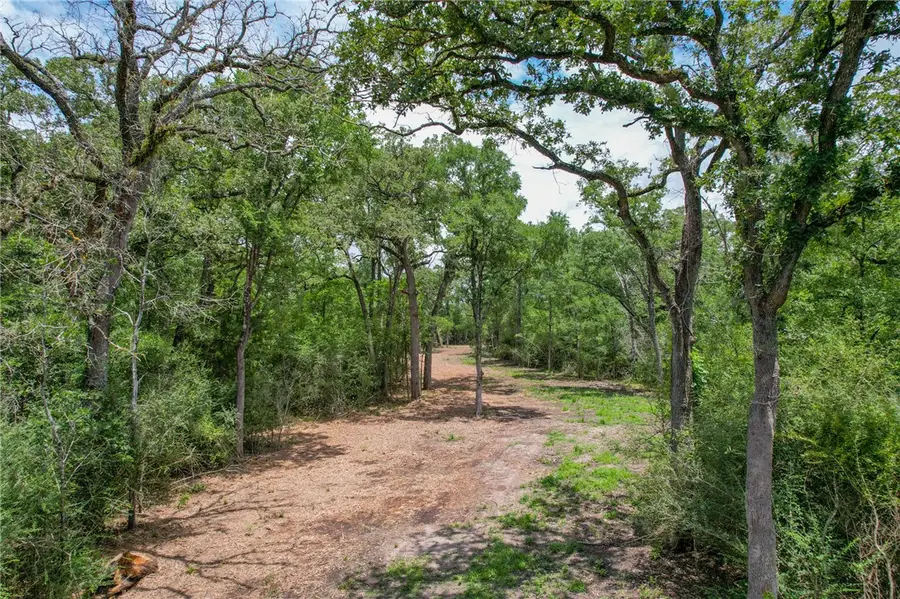 Tract 4 Jones Road, College Station, TX 77845 - Image #2