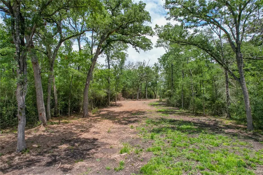Tract 4 Jones Road, College Station, TX 77845 - Image #3