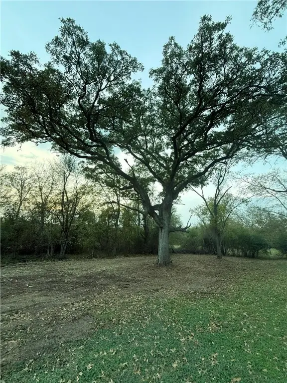 0 W Barton Street, Calvert, TX 77837 - Image #3