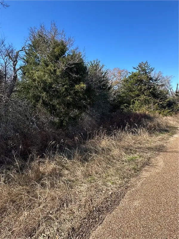TBD Lake View Loop, Somerville, TX 77879