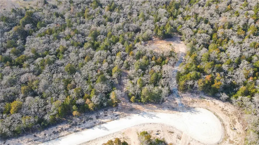 295 Hidden Hill Lane, Caldwell, TX 77836 - Image #3