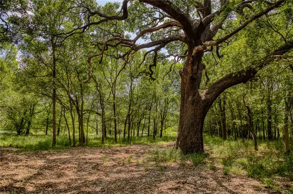 10314 County Road 276, Somerville, TX 77878