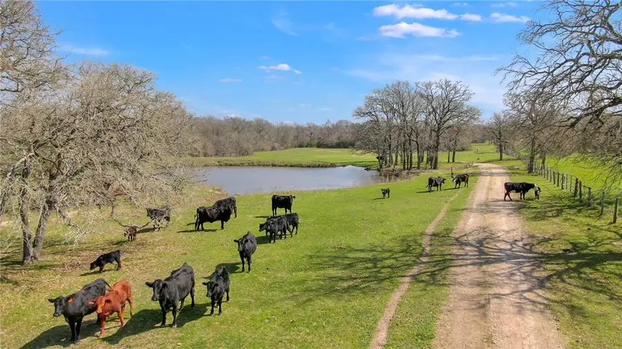 12548 Democrat Road, Bryan, TX 77808 - Image #2