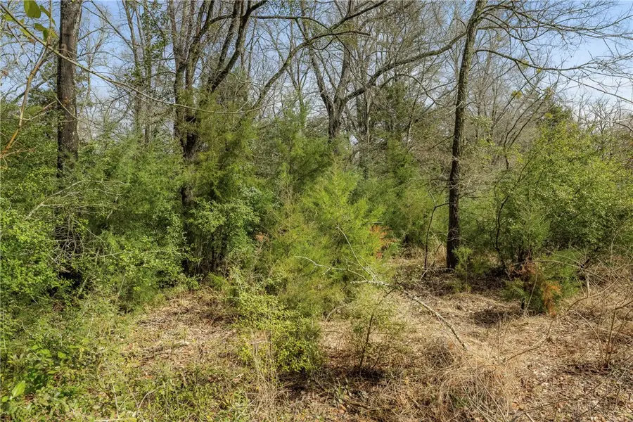 TBD Fm-3, Marquez, TX 77865 - #3