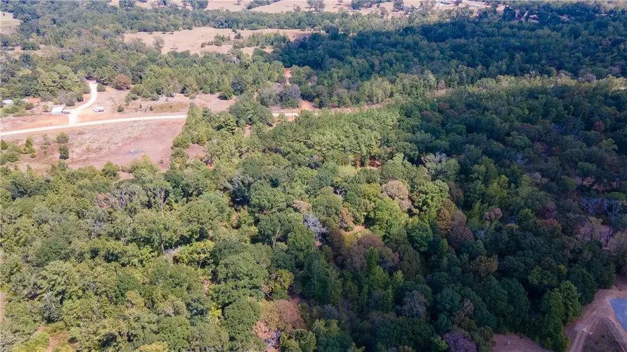 Lot 10 Cr 100 N, Leona, TX 75850 - Image #2