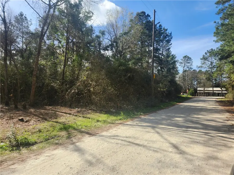 Lot 2 Live Oak, Plantersville, TX 77363 - Image #2