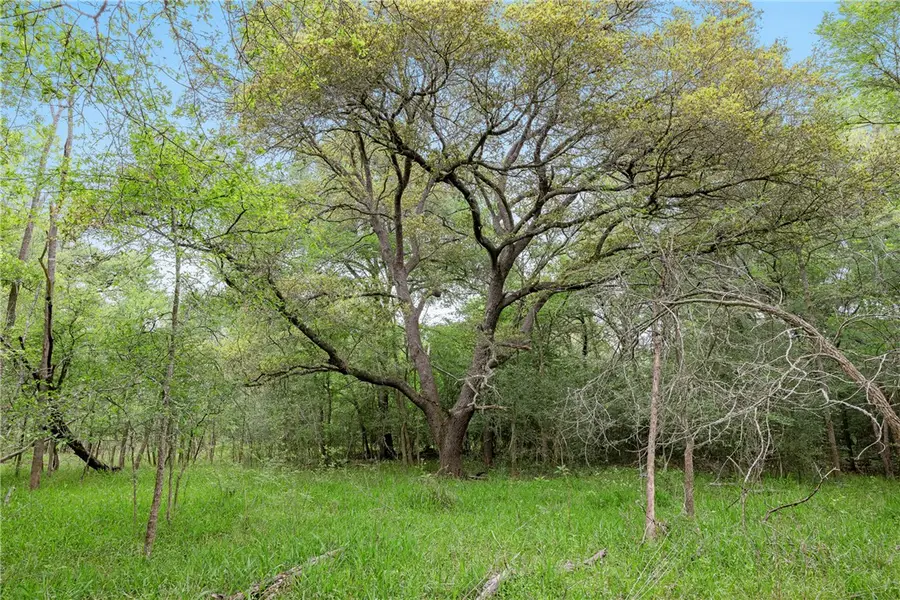 TBD County Road 433, Dime Box, TX 77853 - #2