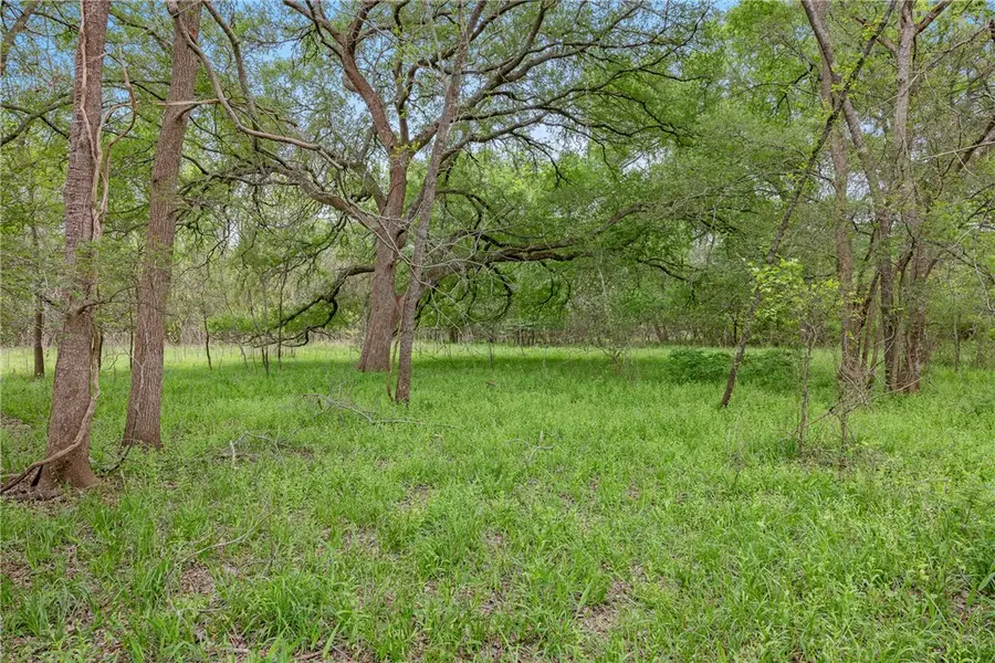 TBD County Road 433, Dime Box, TX 77853 - #3