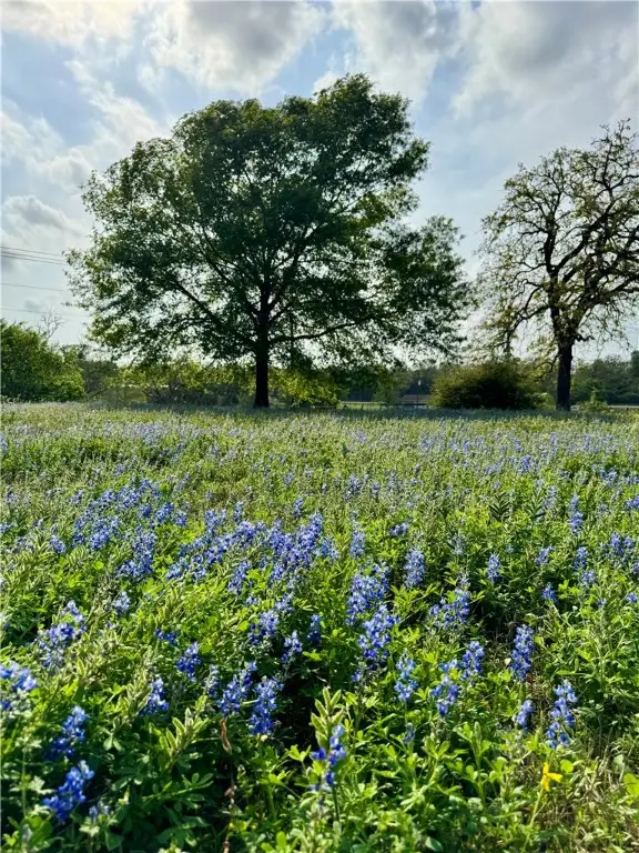 15420 Arhopulos Road, College Station, TX 77845