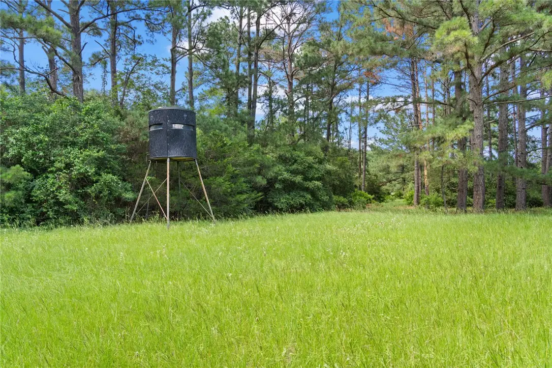 TBD St Delight (tracts 11 & 12) Road, Paige, TX 78659 - Image #1