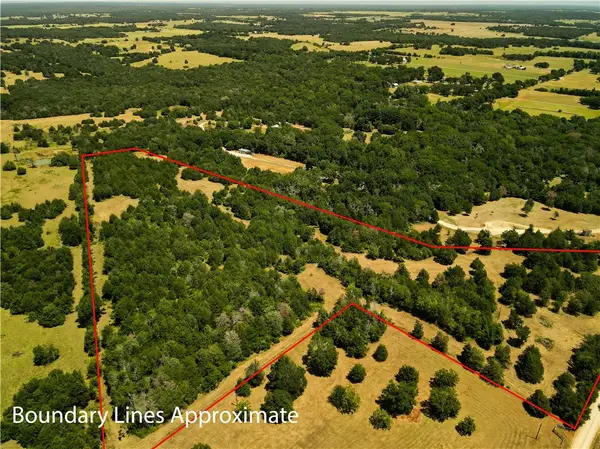 8754 County Road 319, Caldwell, TX 77836