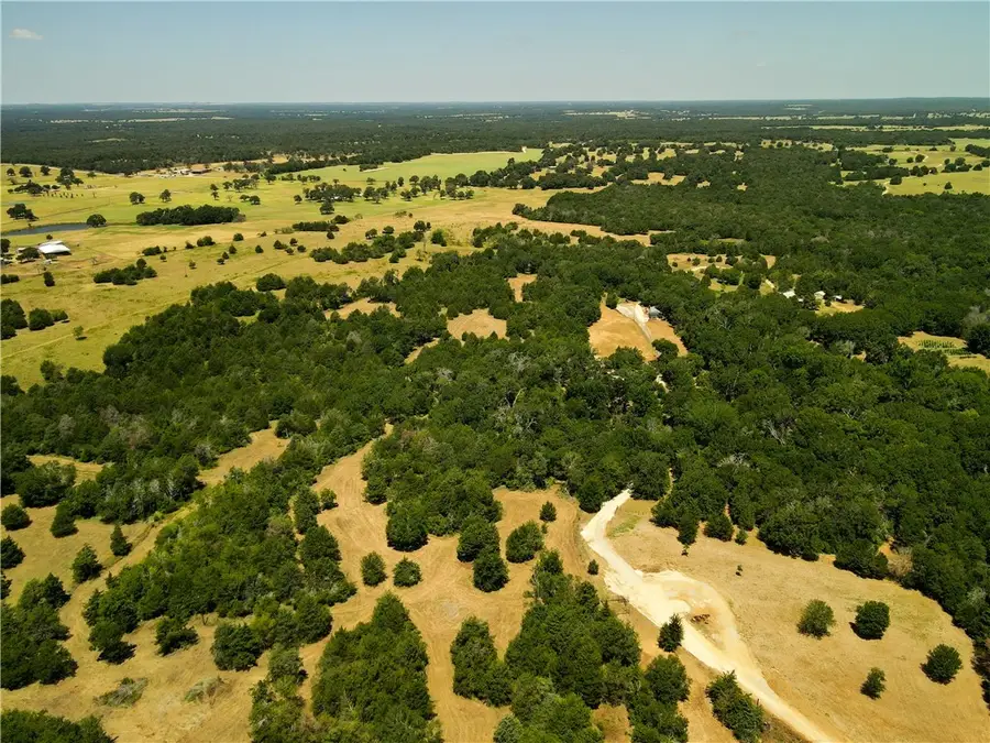 8754 County Road 319, Caldwell, TX 77836 - Image #3