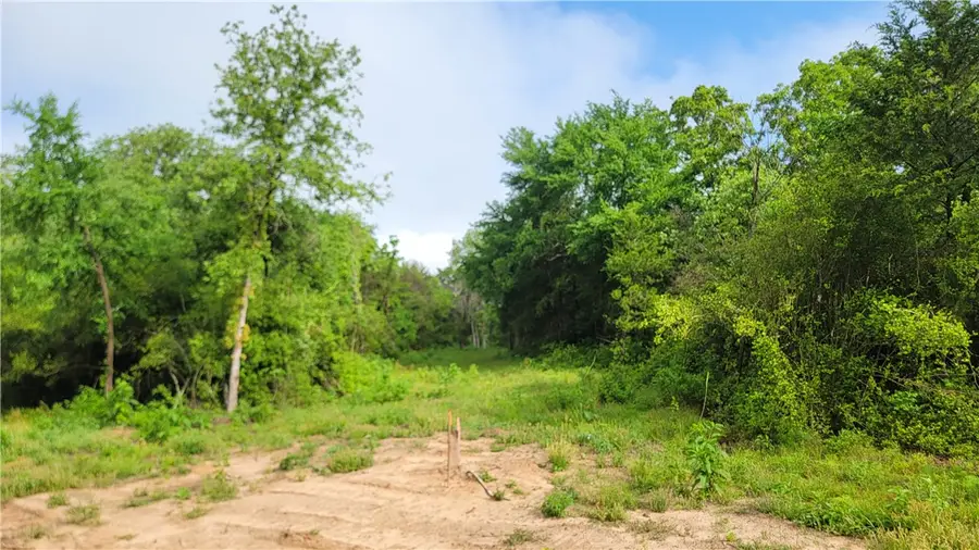 Lot 29 High Meadow Trail, Franklin, TX 77856 - Image #3