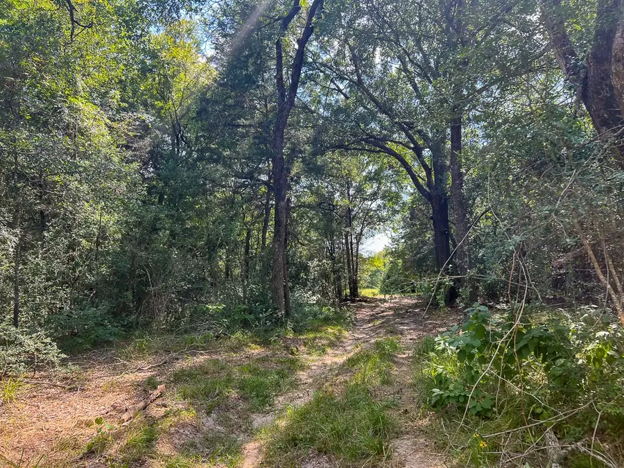 1957 County Road 155, Bedias, TX 77831 - #3