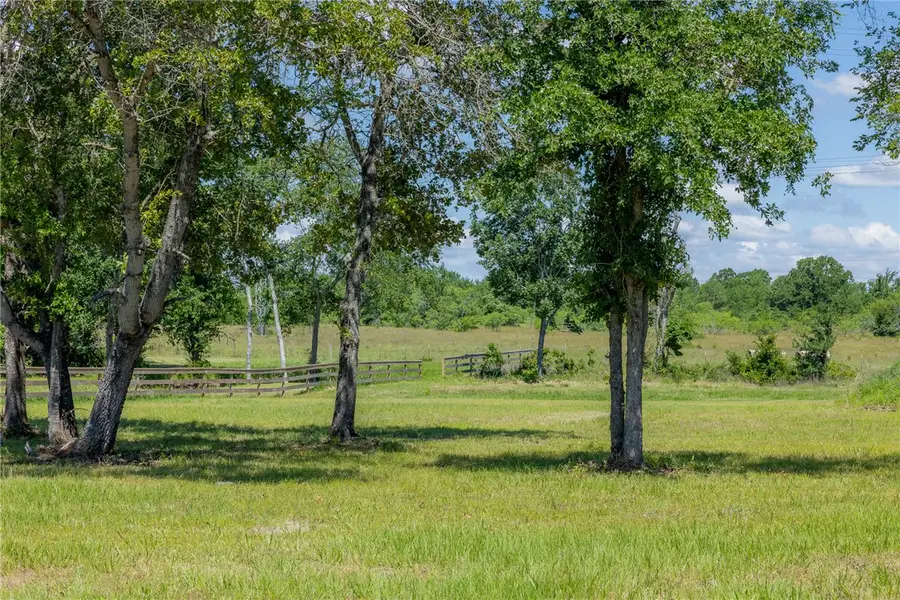 6681 Atakapan Trail, Bedias, TX 77831 - #3
