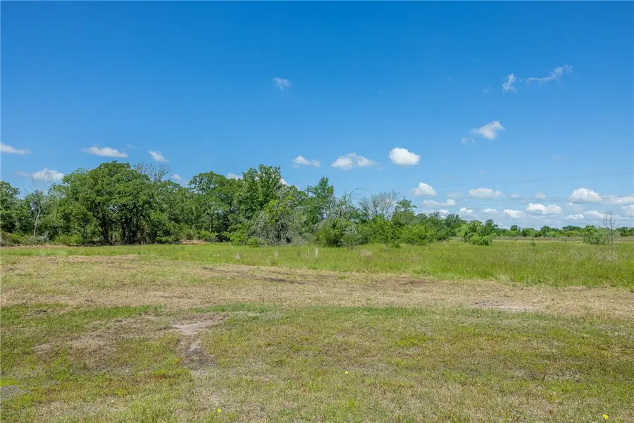 6501 Atakapan Trail, Bedias, TX 77831 - #3