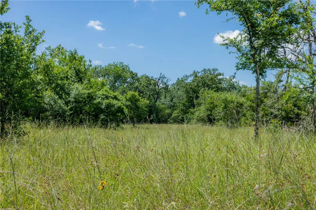 6584 Atakapan Trail, Bedias, TX 77831 - #1