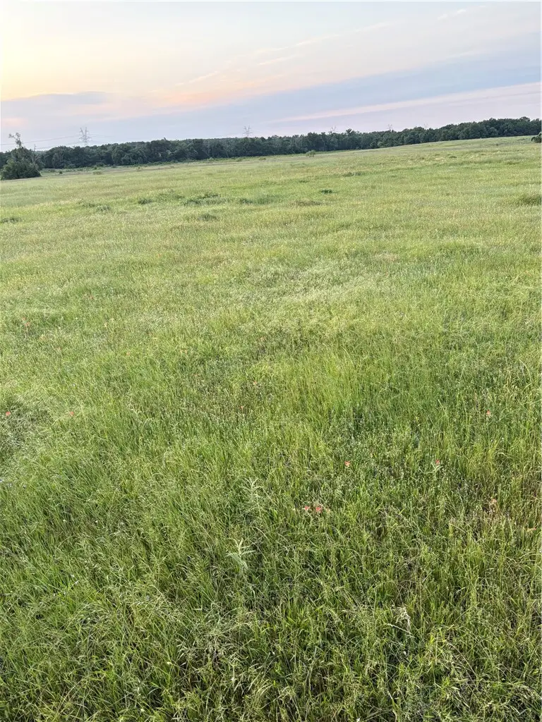 TBD E Fm 2293 Ne, Bremond, TX 76629 - Image #1