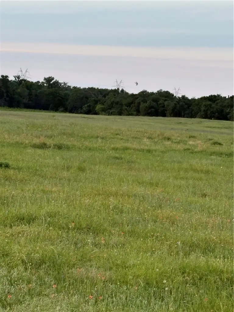 TBD E Fm 2293 Ne, Bremond, TX 76629 - Image #3