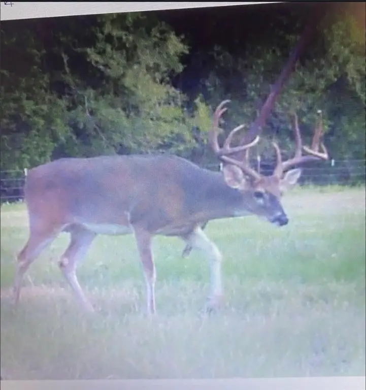 70+/- Turner Ln, Franklin, TX 77856 - Image #2