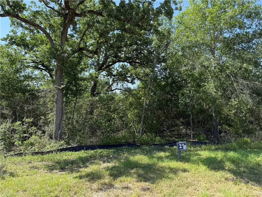 4914 William Mills Court, College Station, TX 77845 - Image #1