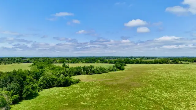 TBD Morehead Road (+/-113.6 Acres), Bremond, TX 76629 - Image #3