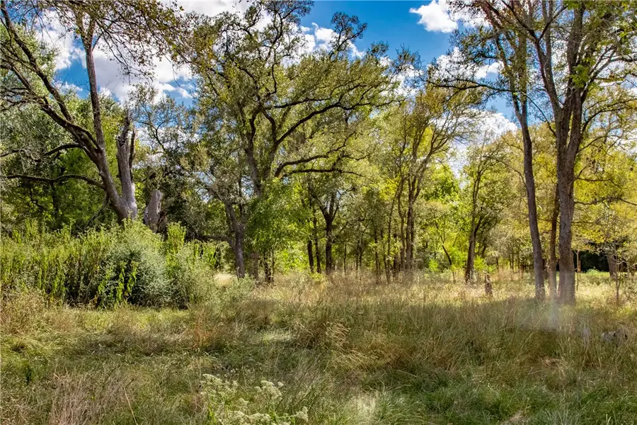 TBD (+/- 1.913 Acres) Berry Creek Drive, Caldwell, TX 77836 - Image #2