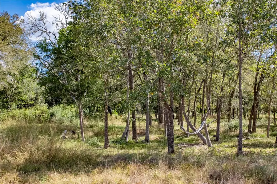 TBD (+/- 1.913 Acres) Berry Creek Drive, Caldwell, TX 77836 - Image #3