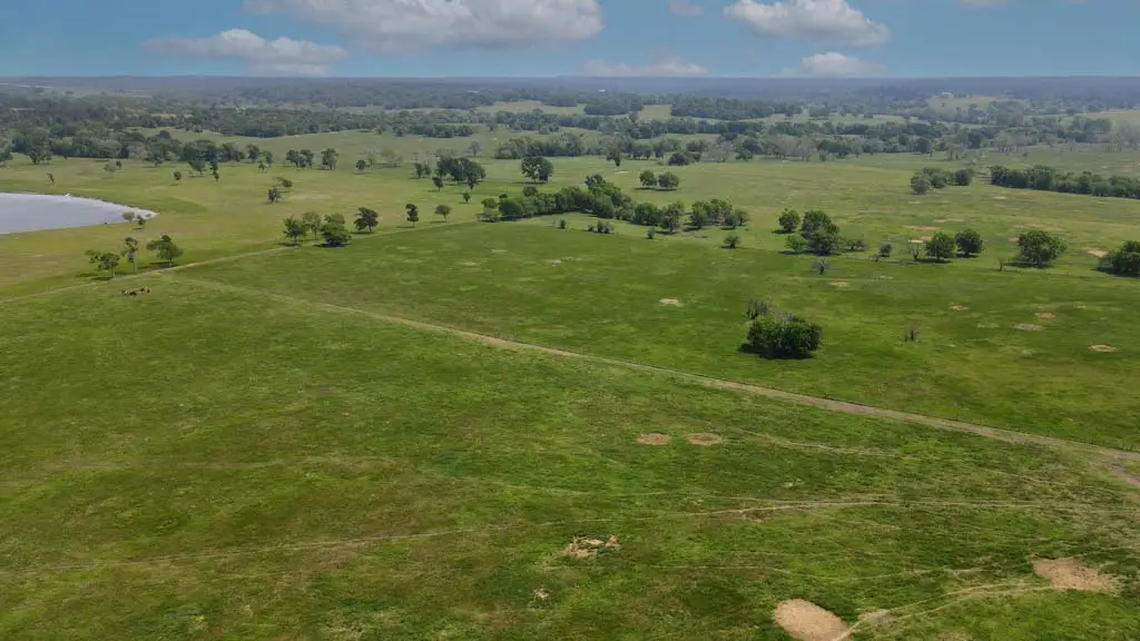 Tract #3 County Road 305, Navasota, TX 77868 - Image #1