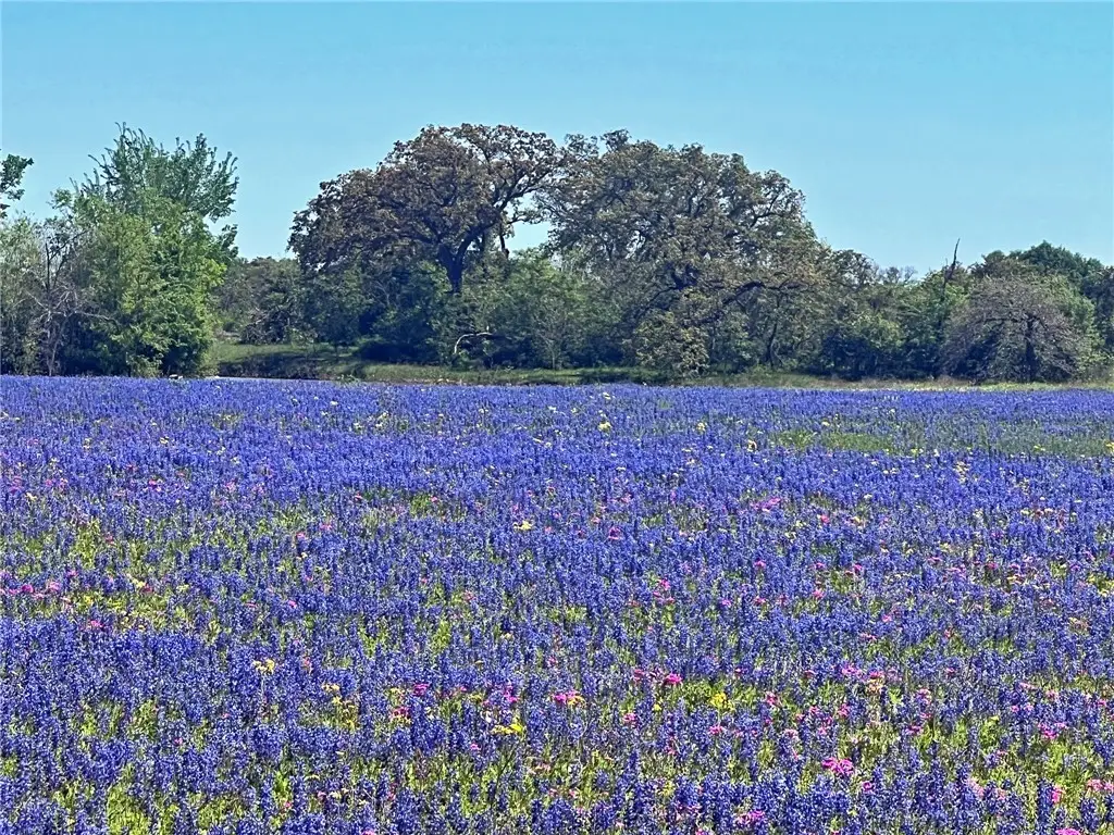 10698 Fm 1227 Road, Navasota, TX 77868 - Image #1