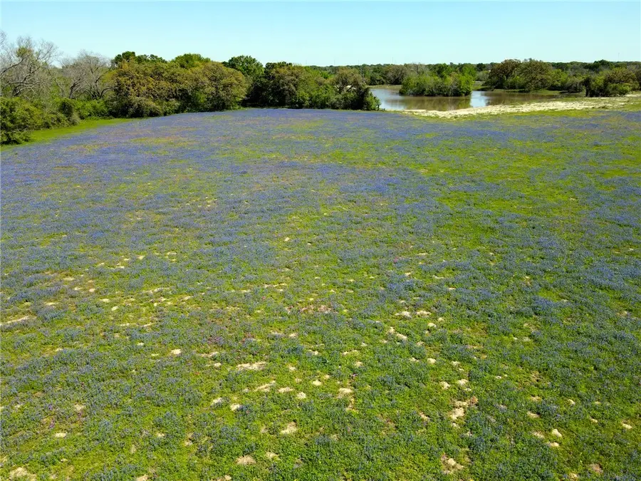 10698 Fm 1227 Road, Navasota, TX 77868 - Image #2