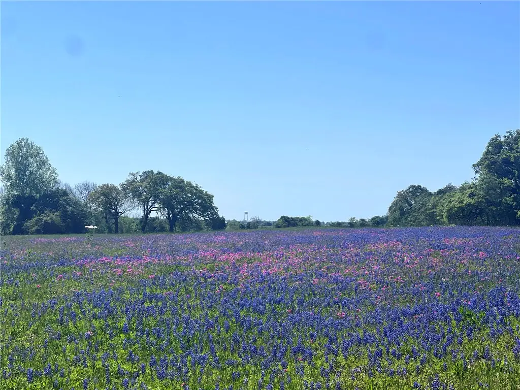 TBD 60 Fm 1227 Road, Navasota, TX 77868 - #1