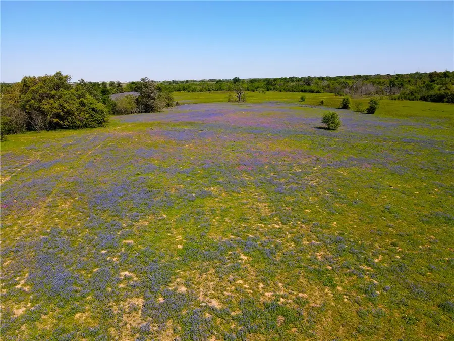 TBD 60 Fm 1227 Road, Navasota, TX 77868 - #2