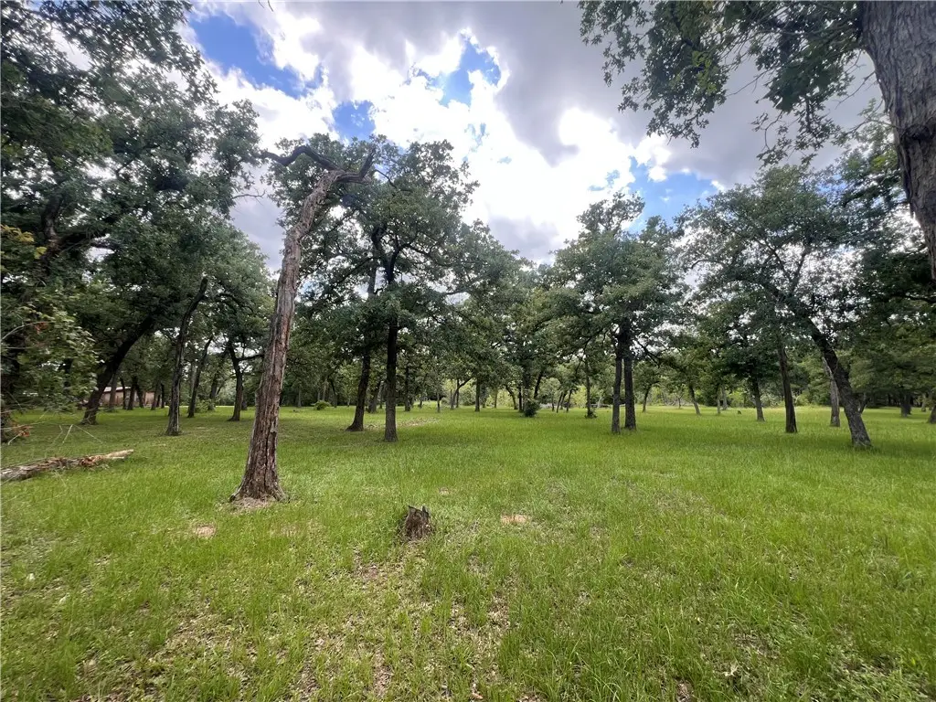Lot 569 Deer Ledge, Caldwell, TX 77836 - Image #1