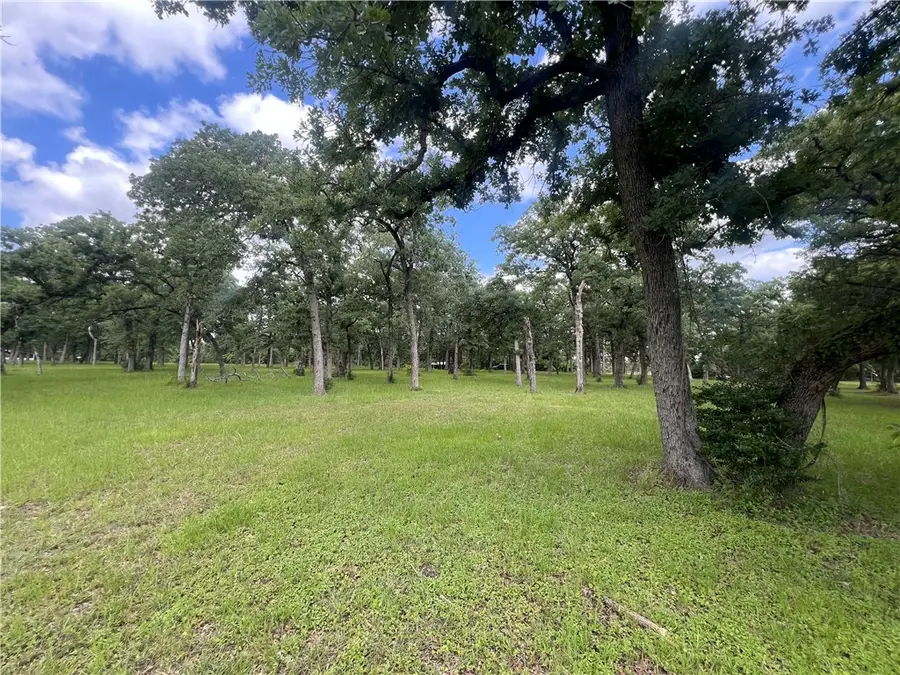 Lot 569 Deer Ledge, Caldwell, TX 77836 - Image #2