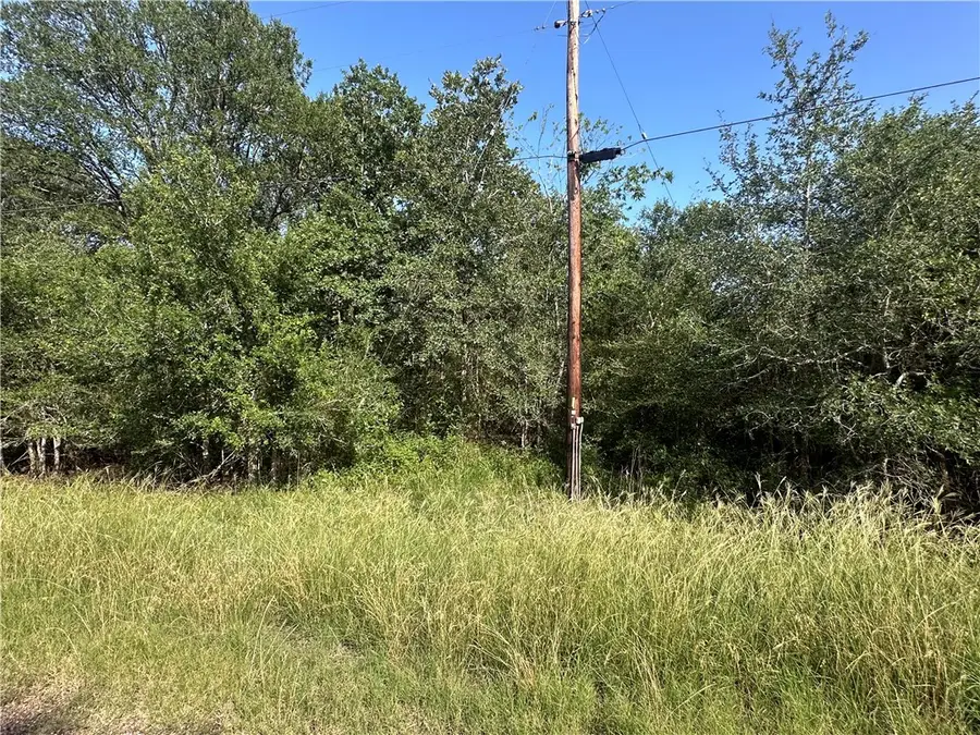 344 and 362 Indian Ridge Dr., Somerville, TX 77879 - Image #3