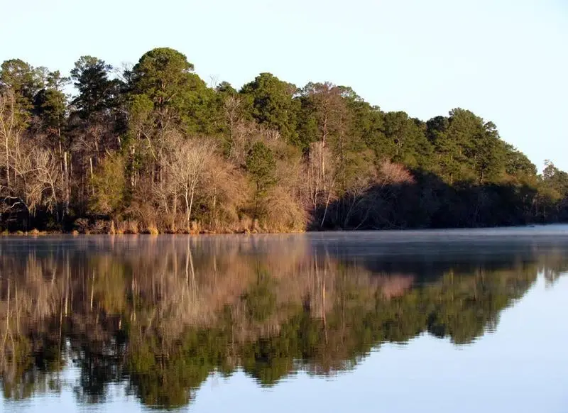 TBD Lonestar Road, Huntsville, TX 77340 - #3