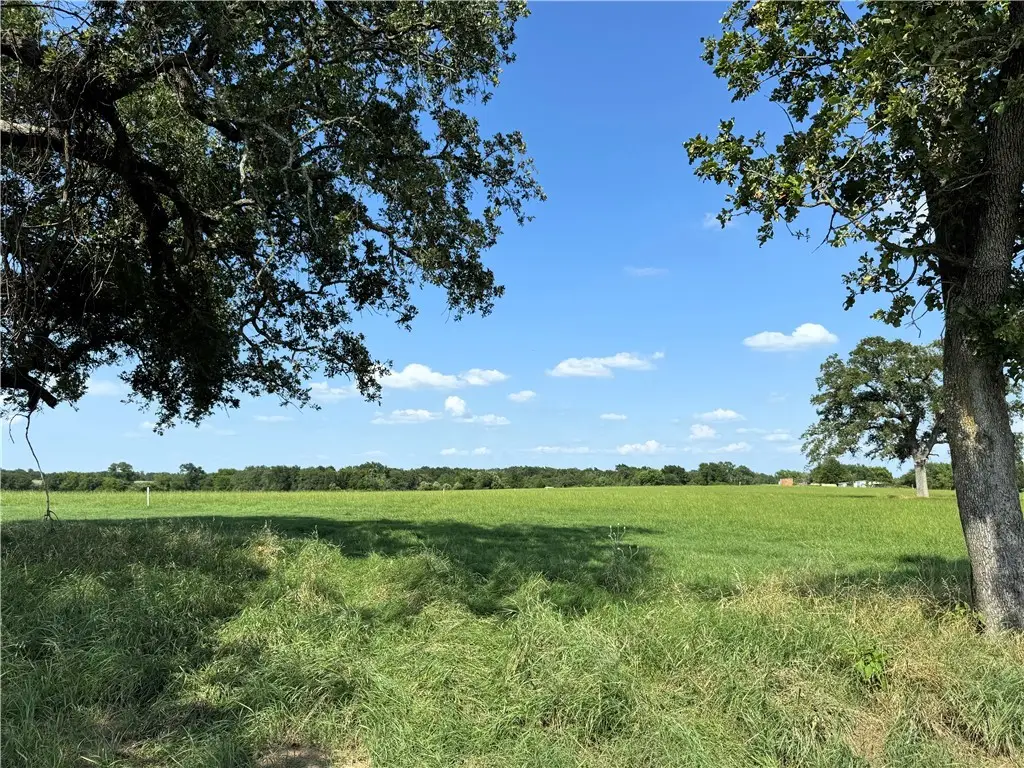693 J W Martine Road, Hearne, TX 77859 - Image #1