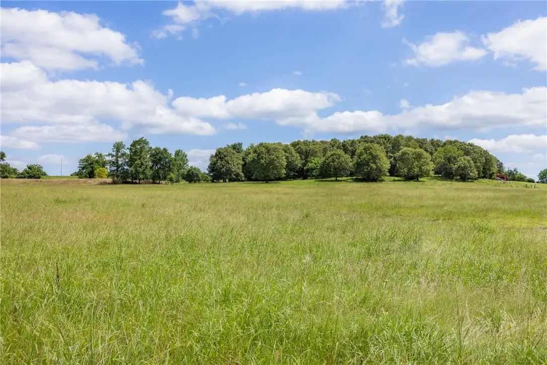 TBD Cr 113, Centerville, TX 75833 - #1