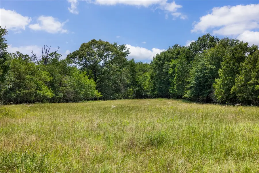 TBD Cr 113, Centerville, TX 75833 - #2
