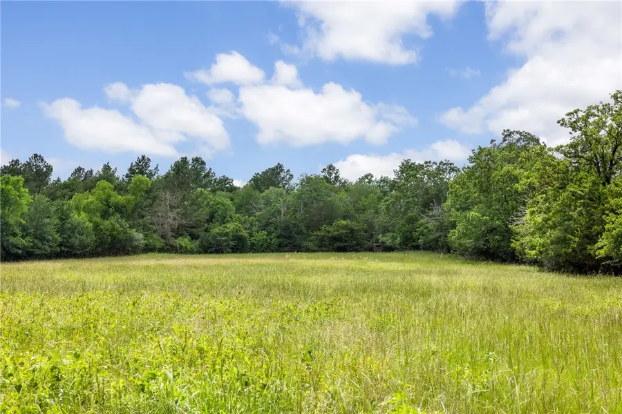TBD Cr 113, Centerville, TX 75833 - #3