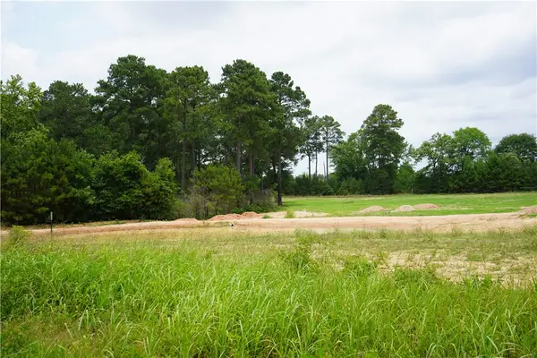 4845 Long Shadows Road, Navasota, TX 77868