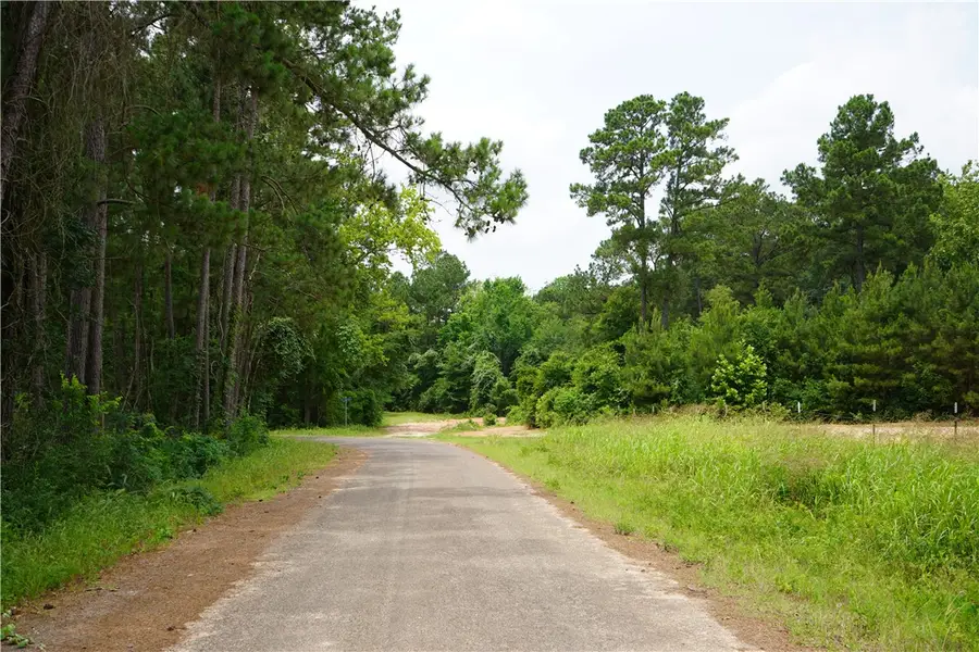 4845 Long Shadows Road, Navasota, TX 77868 - Image #3