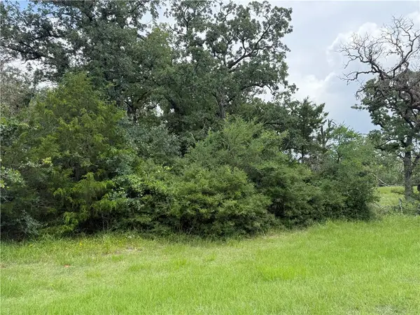 0 Lakewood Dr Lots 96&97, Marquez, TX 77865