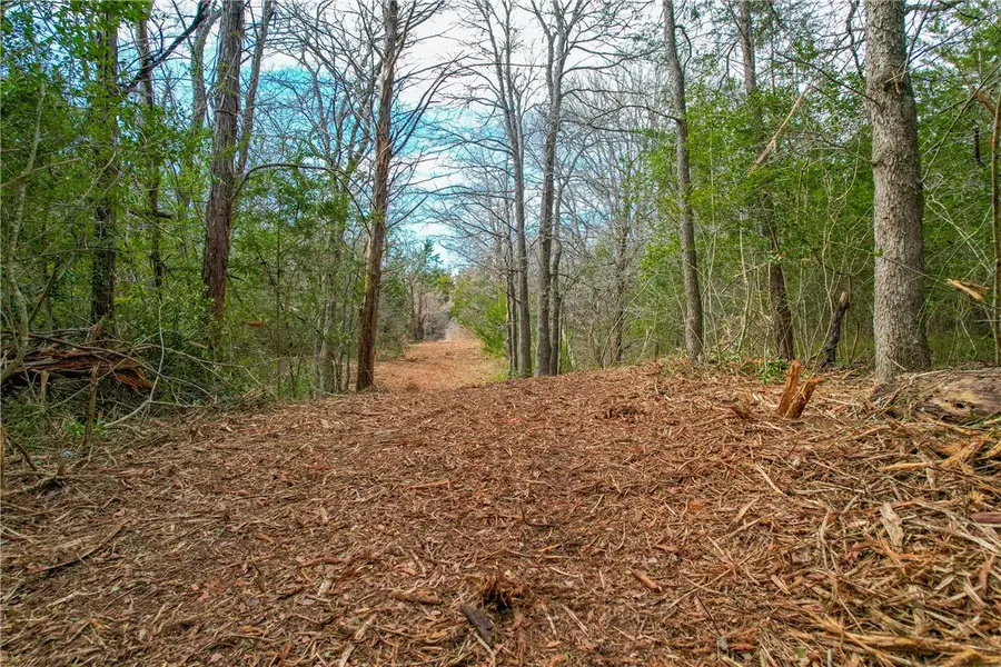 TBD, +/- 25 AC. Hwy 36 Highway, Caldwell, TX 77838 - Image #2