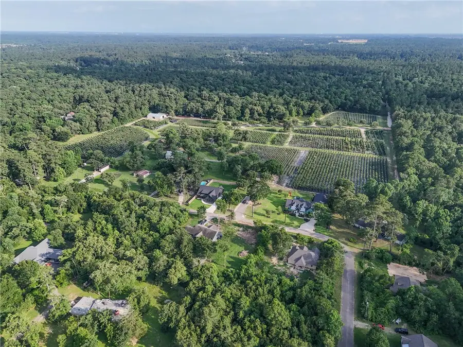 15629 Knotty Oaks Trail, Magnolia, TX 77355 - #2
