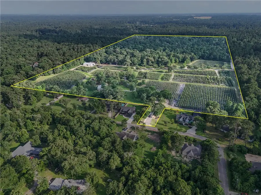 15629 Knotty Oaks Trail, Magnolia, TX 77355 - #3