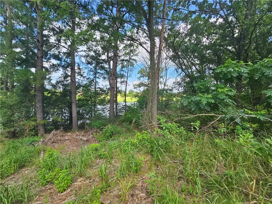 Lot #1 Block 6 Lakeview Drive, Hilltop Lakes, TX 77871 - Image #3